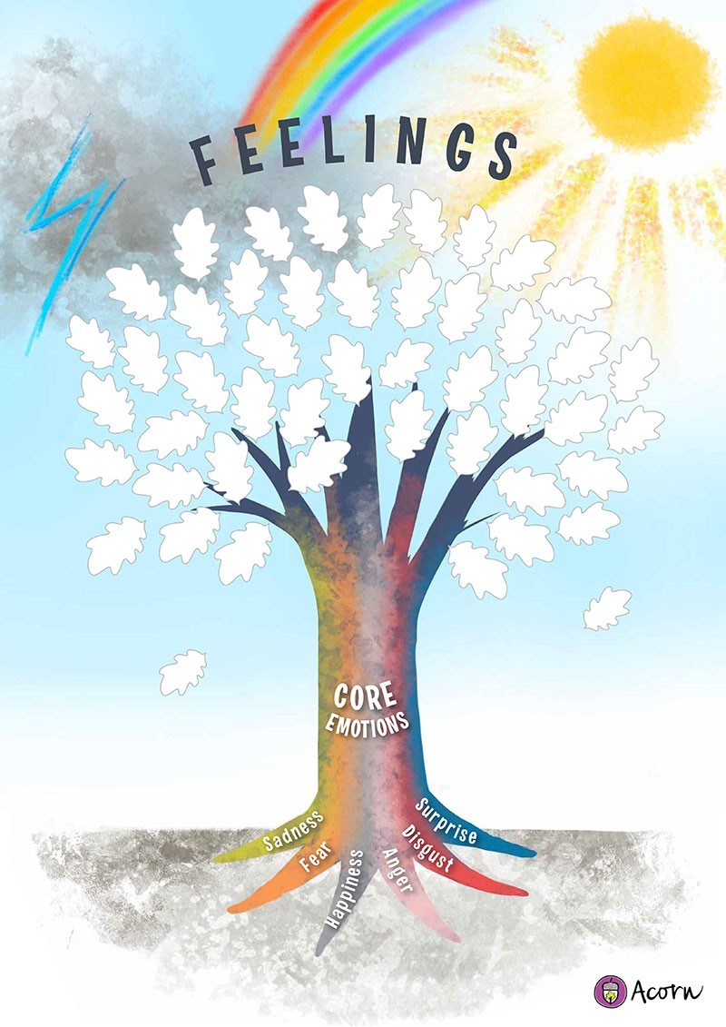 Feelings Core Emotions